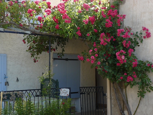 Detalle exterior