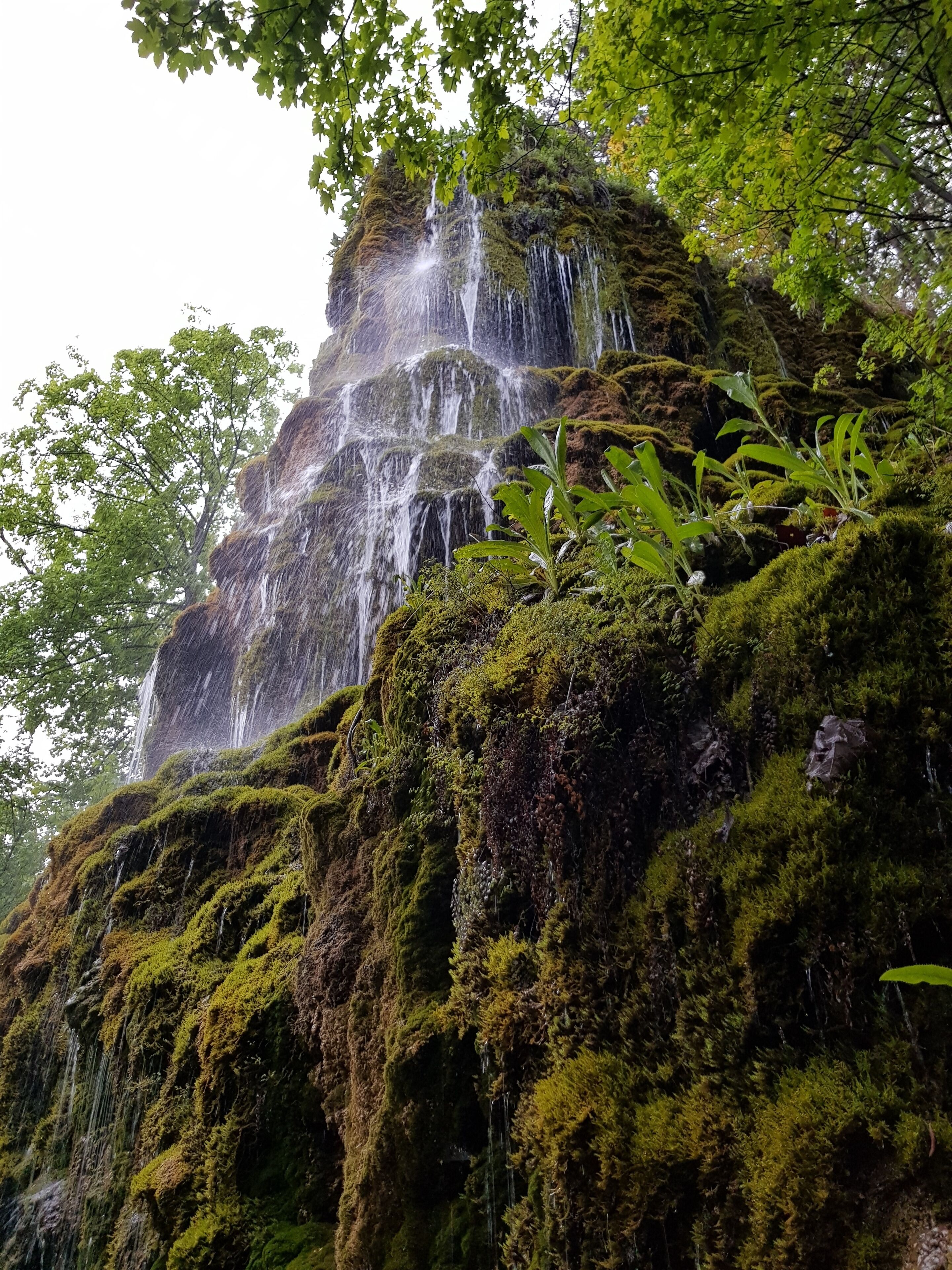 Une cascade d’eau se déversant sur des rochers couverts de mousse, le tout entouré d’une végétation luxuriante.