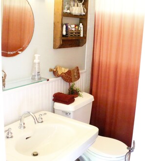 Combined shower/bathtub, hair dryer, towels, soap - Woodsy Country Cottage, HITS Horse Show, Fall Foliage, Skiing, Hunter Mt, Hiking (Saugerties)
