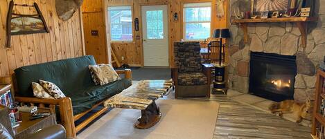 Télévision, cheminée, lecteur de DVD