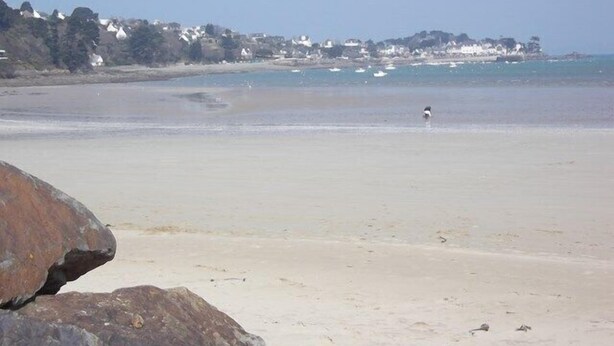 A beach with a large rock in the foreground, a clear sky, and a distant shoreline with buildings. - Renovated house, close to beaches, pets allowed  (Plouégat-Guérand)