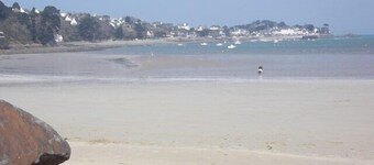 Renovated house, close to beaches, pets allowed 