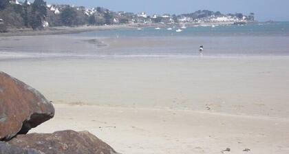 Renovated house, close to beaches, pets allowed