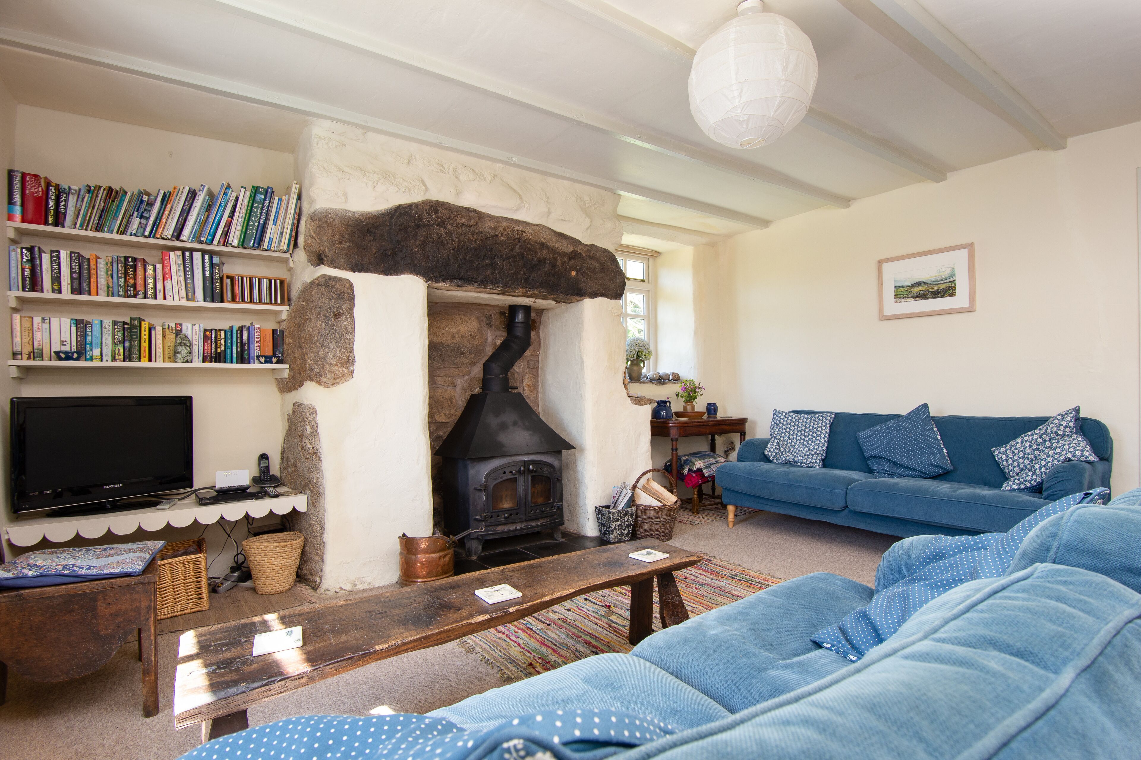 电视、壁炉、DVD 播放器、书