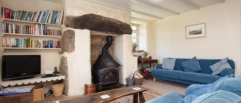 A cozy living room with a stone fireplace, a bookshelf, a blue sofa, and a television.