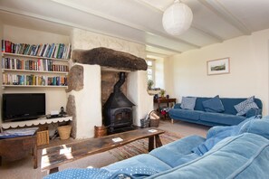 TV, fireplace, DVD player, books