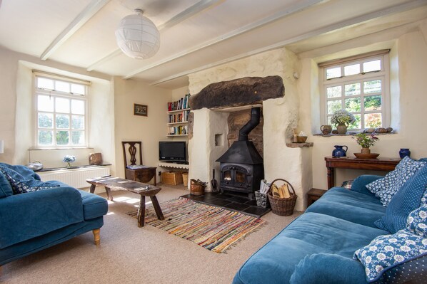 Fernseher, Kamin, DVD-Player, Bücher