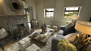 TV connectée, cheminée, lecteur de DVD, livres