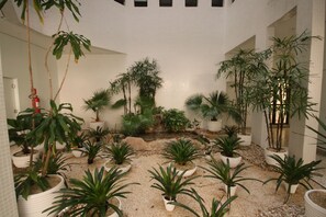 Área da propriedade