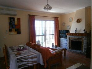 TV, fireplace, books