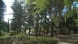 A serene garden with stone pathways, neatly trimmed bushes, and tall trees. - Ancient country house recently restored - beautiful private garden - panoramic (Pontassieve)