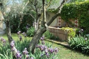 Overnattingsstedets uteområder