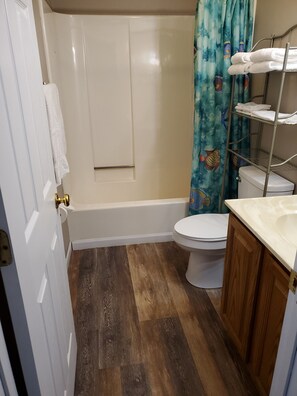 Une salle de bain avec douche, toilettes et plancher en bois.