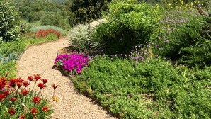 Uma trilha de terra serpenteia por um jardim exuberante, repleto de plantas floridas, com colinas ao fundo.