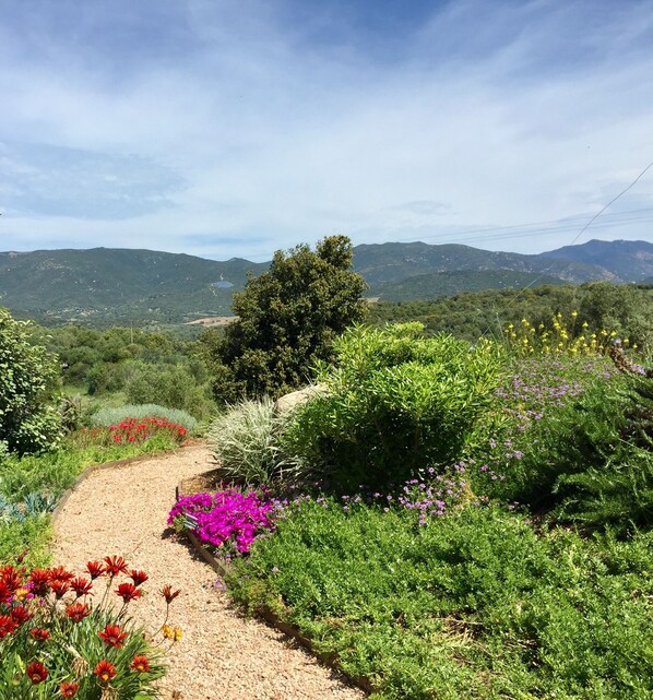A dirt path winding through a lush garden with various flowering plants and a backdrop of hills.