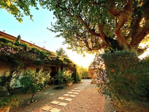 Property grounds - Country Cottage / Gite - Cabannes (Cabannes)