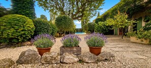A garden with lavender plants, a pool, and a building with green shutters. - Country Cottage / Gite - Cabannes (Cabannes)