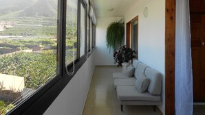 Un pasillo con un sofá, una planta colgante y vistas a un viñedo.