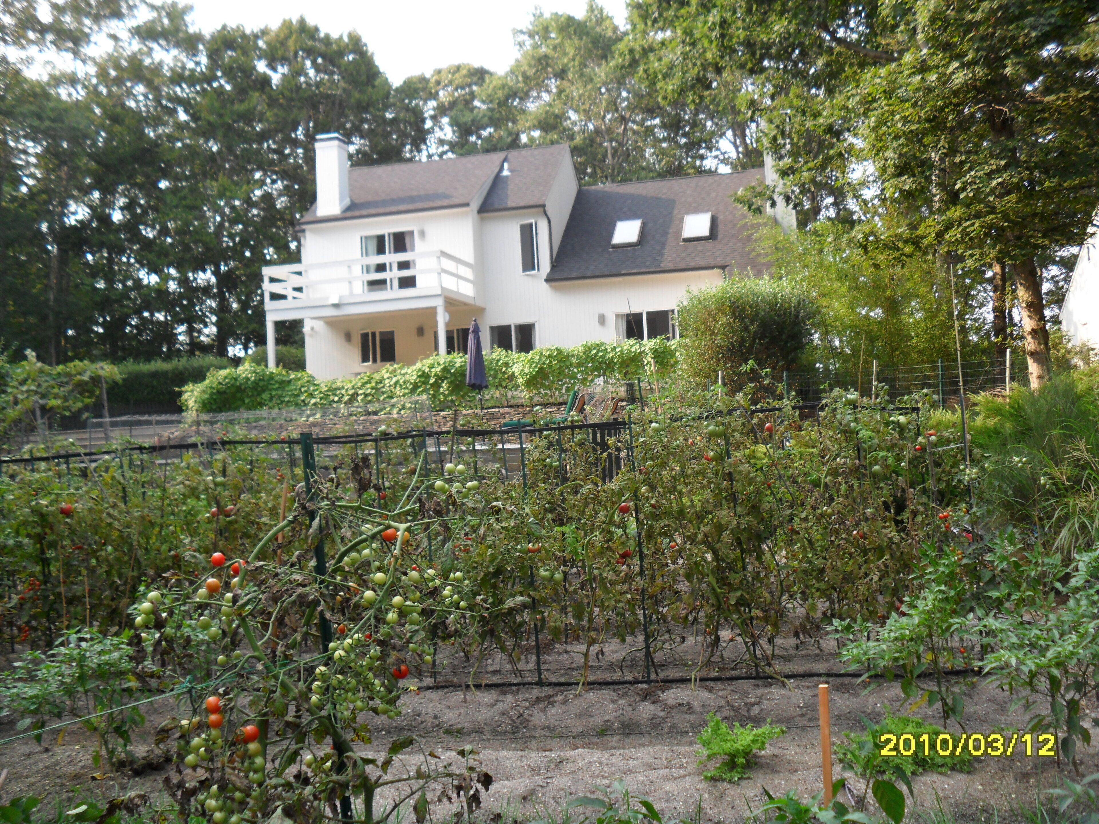 Brand new kitchen, Jacuzzi, organic garden, minutes to the Village
