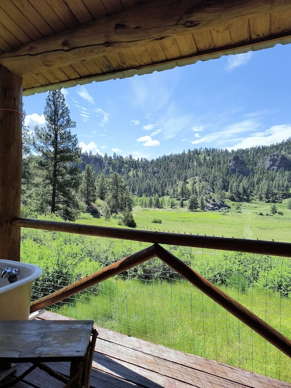 Property grounds - Dearborn River Log Cabin with 3/4 mi River Frontage & 72 Acres to Roam (Cascade)