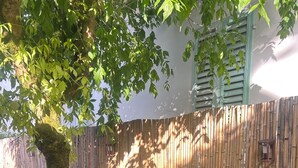 Ein Bambuszaun, ein Baum und eine Rasenfläche.