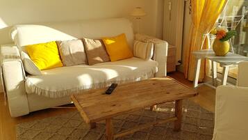 Televisio, takka, kirjoja, videokirjasto