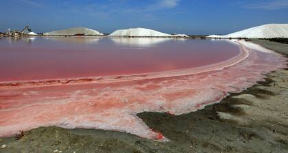 Villa 4 Chambres avec piscine privée à 5 mn d' Aigues Mortes, 10 mn de la mer