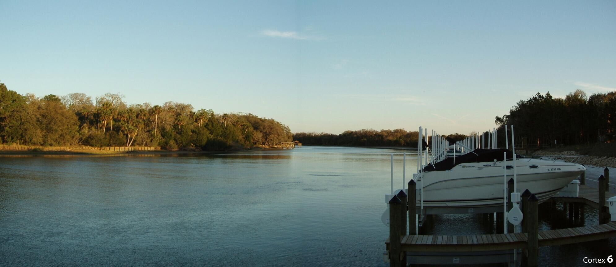 Canopy Walk at dusk...View from the dock!