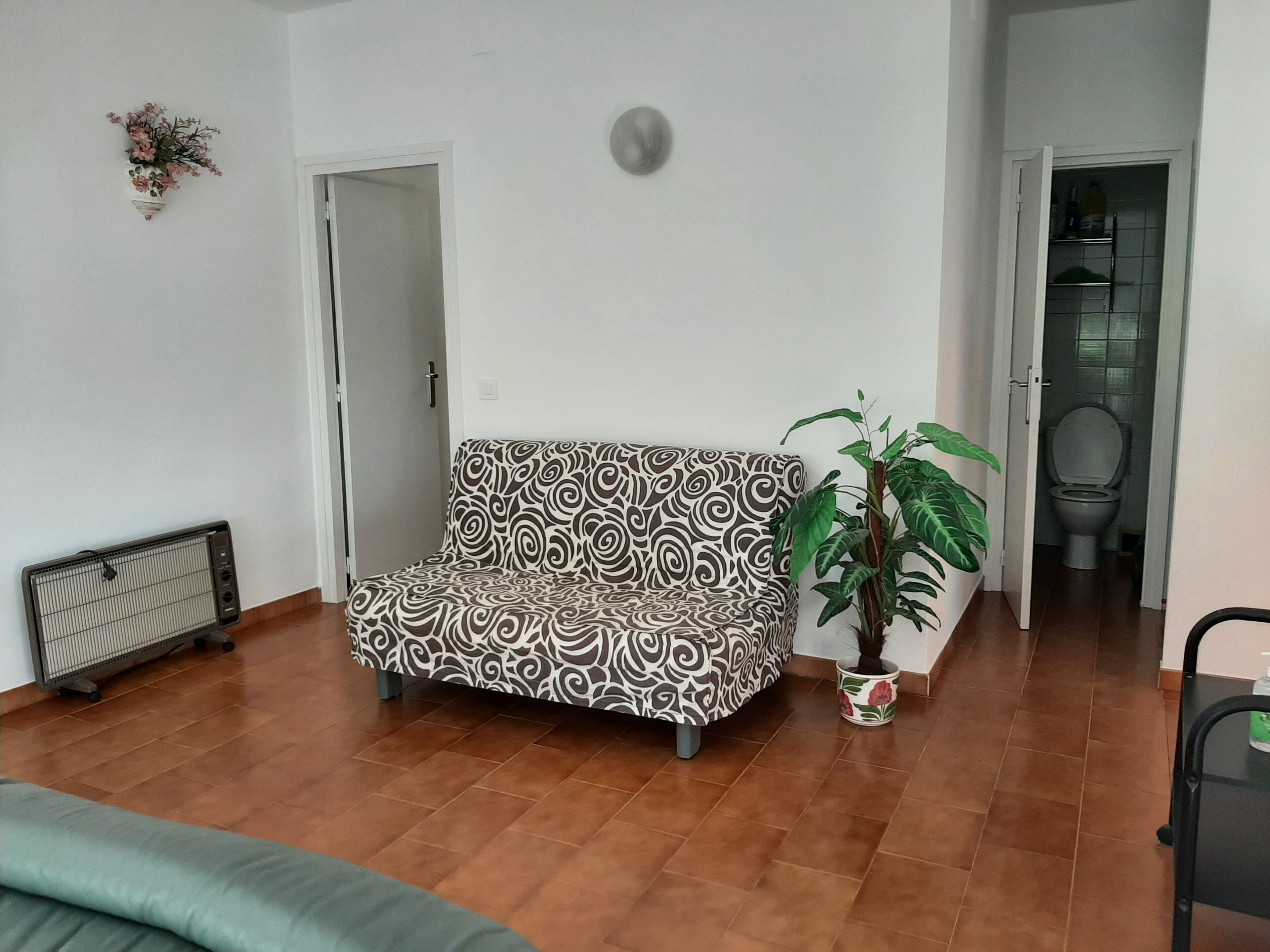 A living room with a patterned sofa, a radiator, a potted plant, and a view into the bathroom.