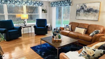 Televisión, chimenea, reproductor de DVD y libros