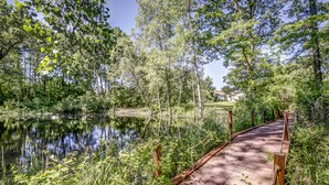 A wooden boardwalk leading to a pond surrounded by dense trees and greenery. - Heron Pointe... where nature and luxury combine for an unforgettable experience! (White Lake)