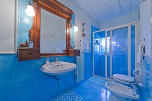 Shower, hair dryer, bidet, towels