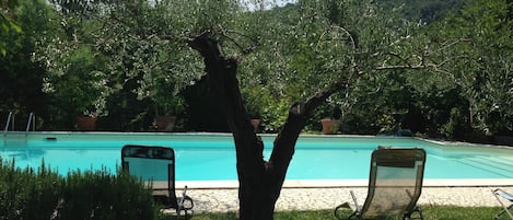 Piscine extérieure