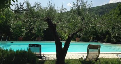 Stunning farm house plenty of peace, green spaces and with swimmingpool