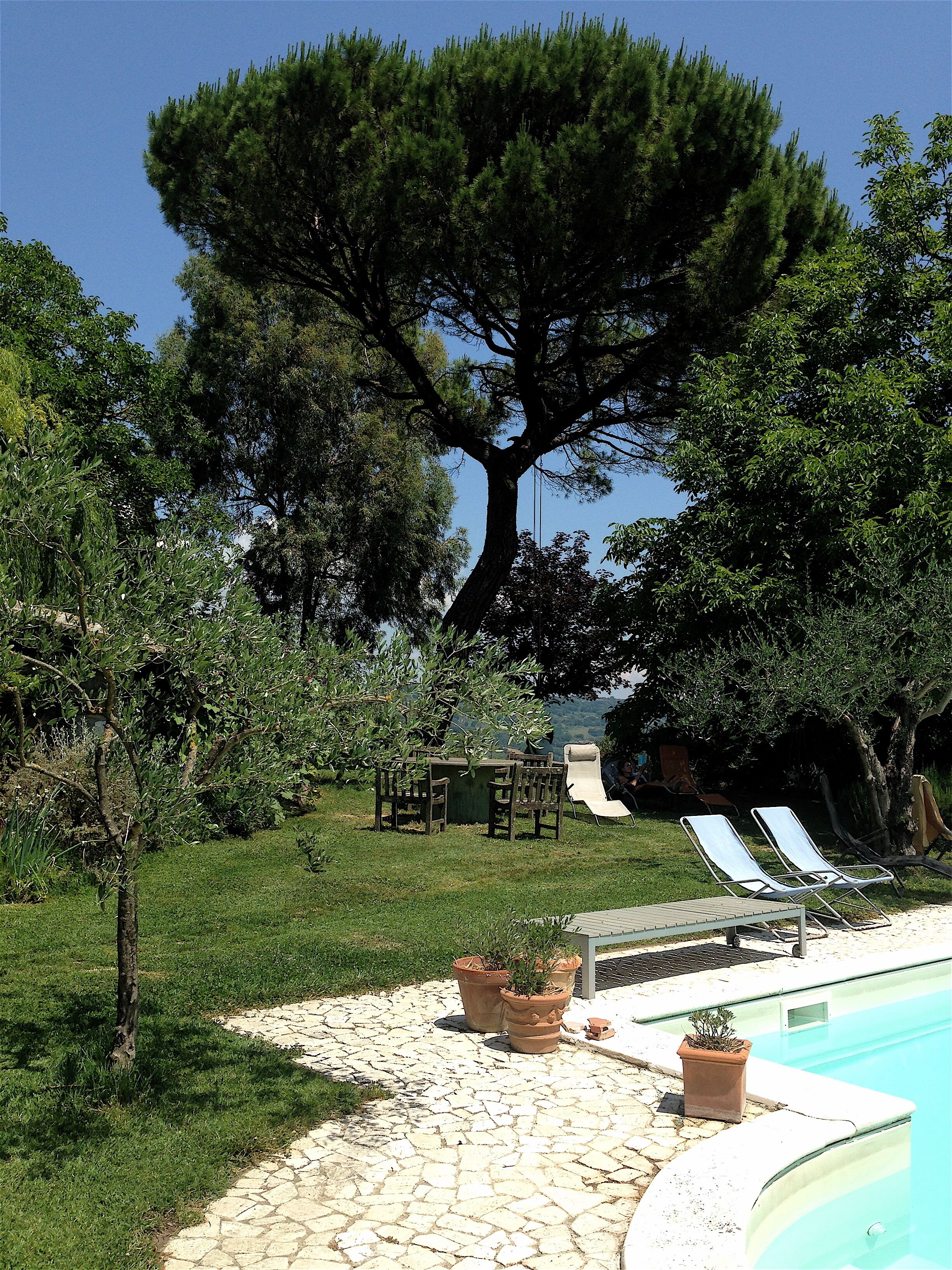 Piscine extérieure