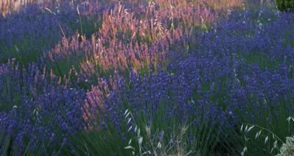 In a quiet location beautiful views of the village and the surrounding landscape