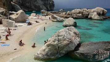 Playa en los alrededores