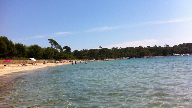 A beach with clear water, a sandy shore, and a line of trees in the background. - House / Villa - Collobrières (Collobrières)