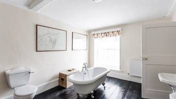 Combined shower/bathtub, hair dryer