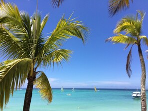 Vlak bij het strand, strandlakens