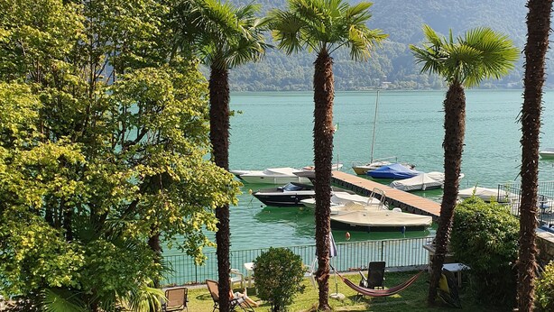 Une zone herbeuse avec des palmiers, un quai et des bateaux sur un lac, avec des montagnes en arrière-plan.