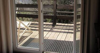 CHALET 2Alpes, coté Alpe de Venosc, calme proche de tout, 200m des pistes. wifi