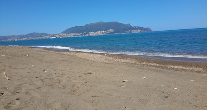 BEJAIA CENTER-VILLE animada (cita con vistas panorámicas)