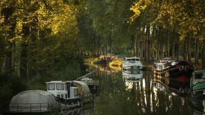 Un fiume tranquillo con barche ormeggiate lungo la riva, circondato da alberi fitti.