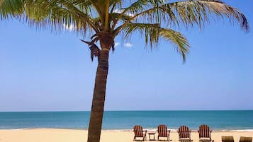 Playa en los alrededores, camastros y toallas de playa
