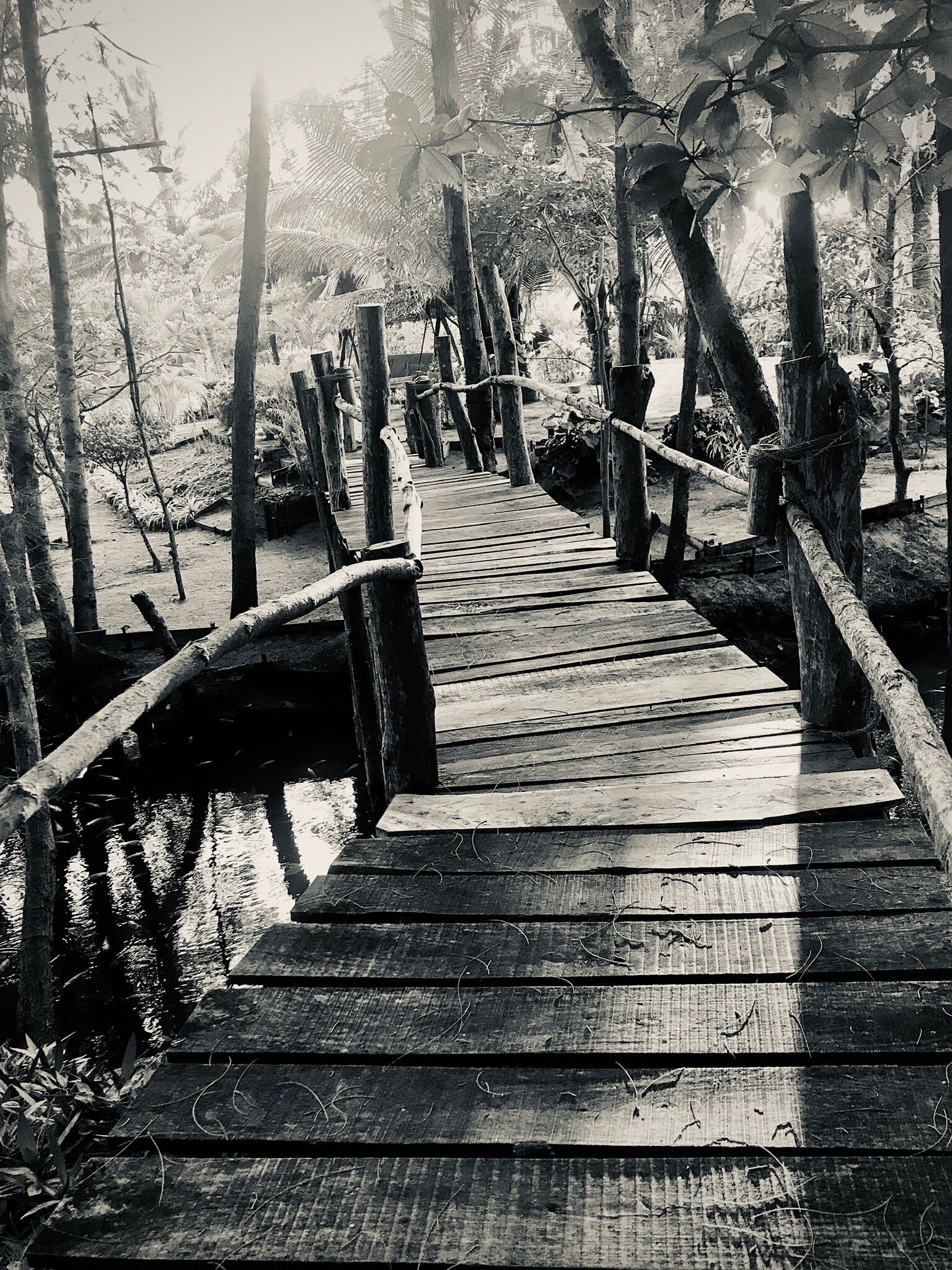 Un pont en bois situé dans une zone boisée, au cœur d’un environnement naturel.