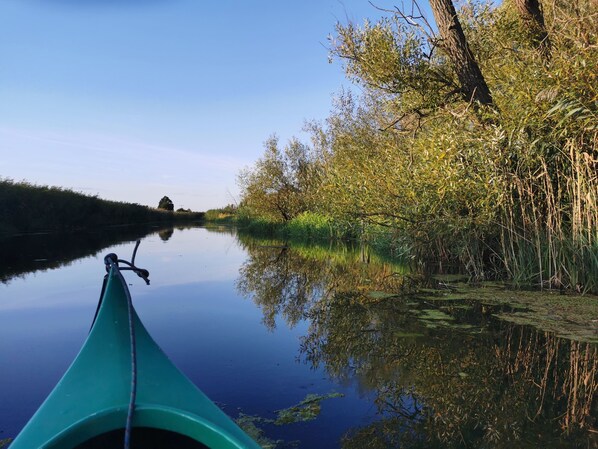 Una canoa en un río tranquilo bordeado de abundante vegetación.