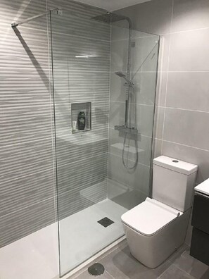 Shower, hair dryer, towels, toilet paper