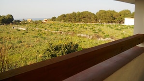 Un balcón con vistas a un campo cubierto de césped y árboles.