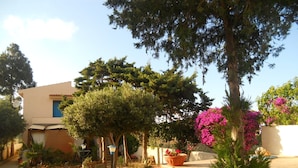 Un barrio residencial con una casa moderna, un jardín con diversas plantas y flores, y un cielo despejado.